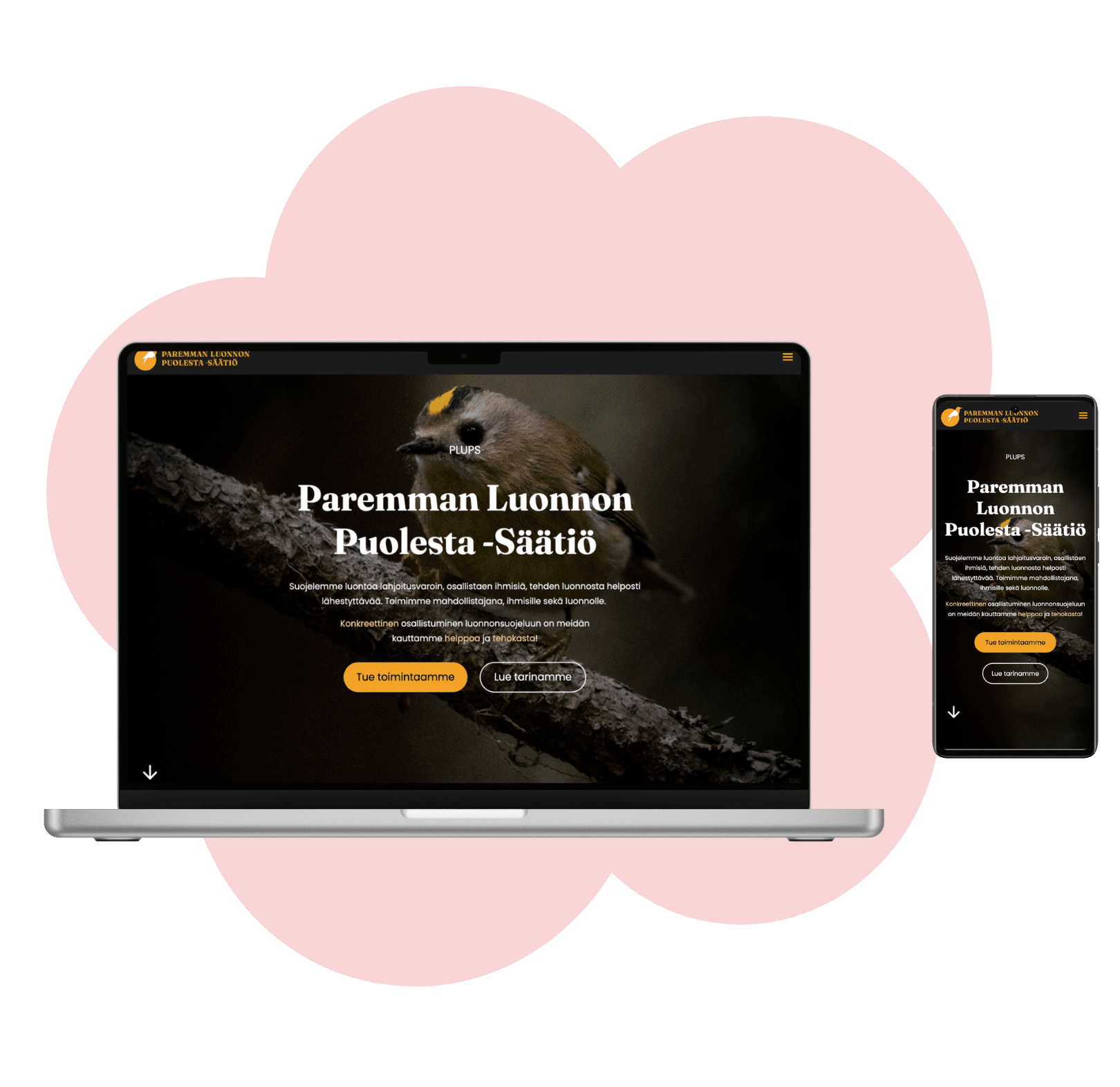 Paremman Luonnon Puolesta -säätiö